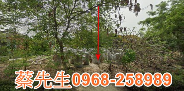 大林法拍建地-0