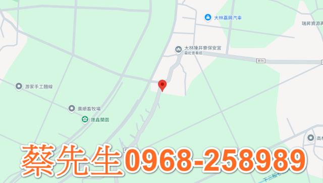 大林法拍建地-7