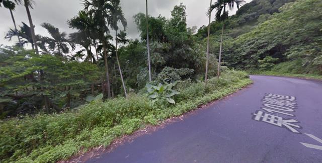 長濱拍賣農地-4