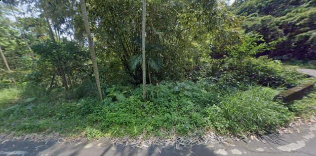 長濱拍賣農地-8