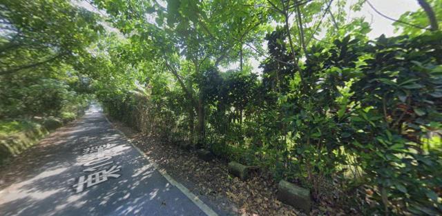 長濱法拍農地-11