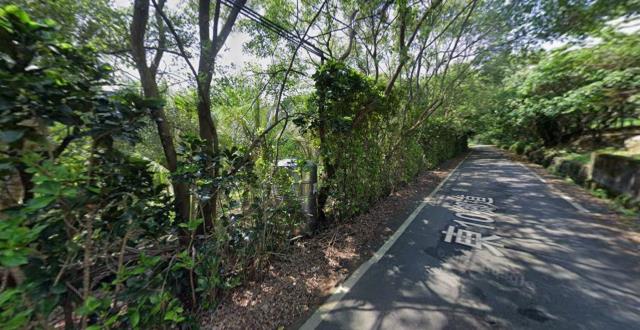 長濱法拍農地-12