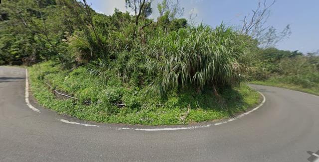 長濱法拍農地-3