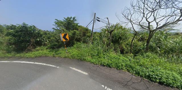 長濱法拍農地-8