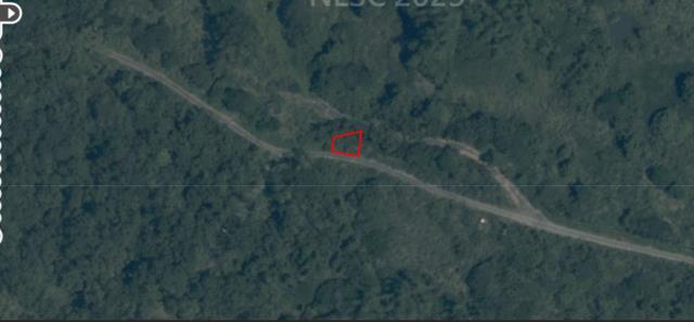 台東種菜地法拍-9