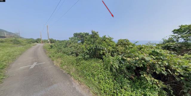 台東農地法拍-12