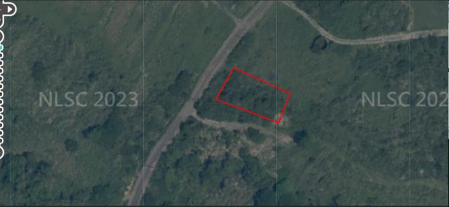 台東農地法拍-1