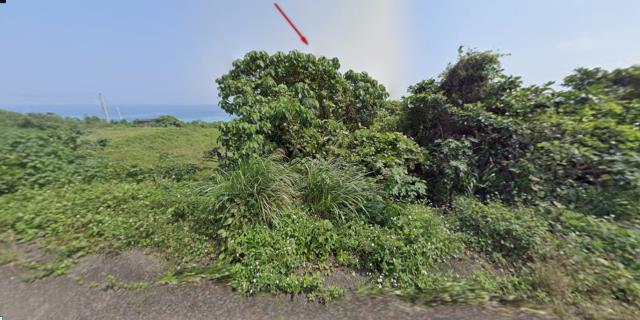 台東農地法拍-8