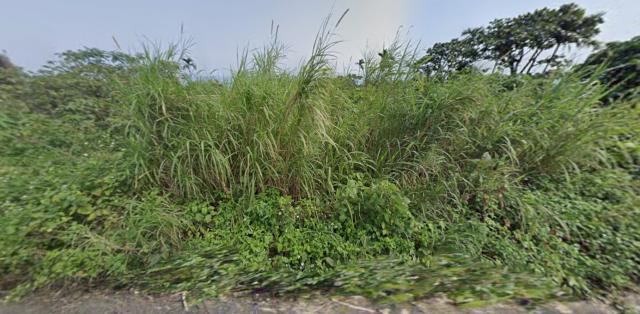 台東拍賣農地-7