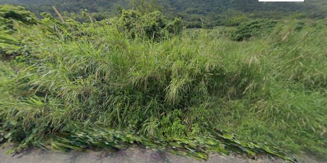 台東法拍農地-0