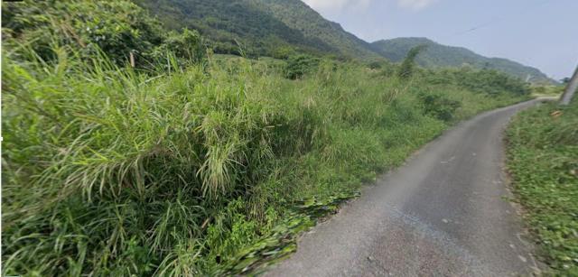 台東法拍農地-3
