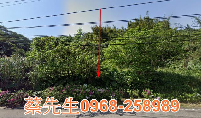 新北萬里法拍農地-0