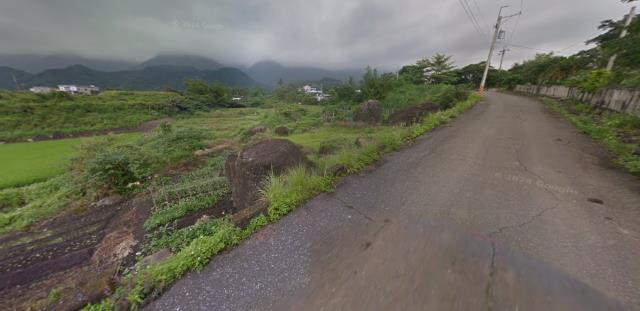 長濱法拍農地-3