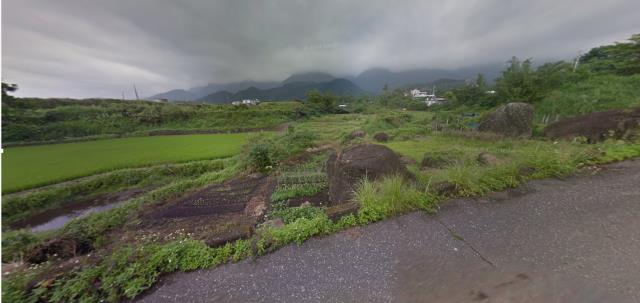 長濱法拍農地-8