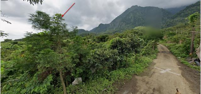 長濱法拍農地-12