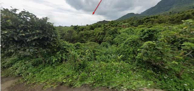 長濱法拍農地-0