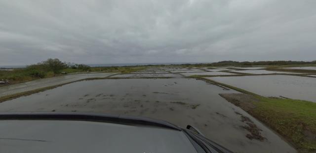 長濱法拍農地-10