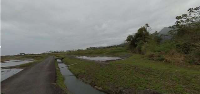 長濱法拍農地-12