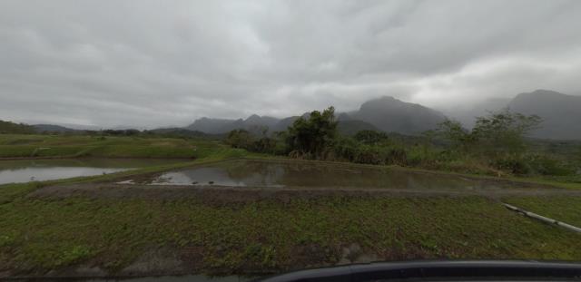 長濱法拍農地-7