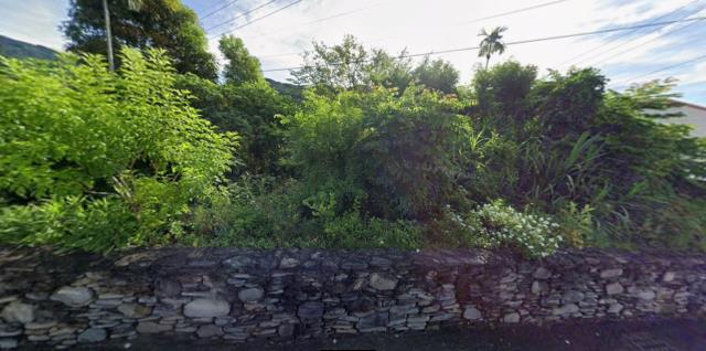 太麻里農地法拍-8