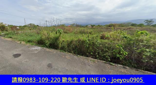 宜蘭三星農地法拍-4