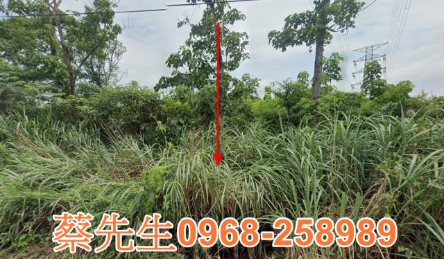 桃園龍潭農地法拍-3