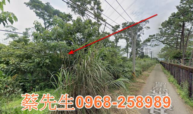 桃園龍潭農地法拍-4