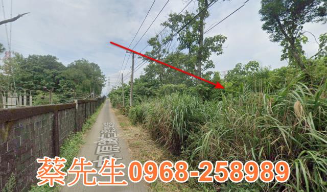 桃園龍潭農地法拍-8