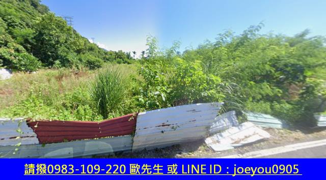 花蓮秀林法拍農地-9