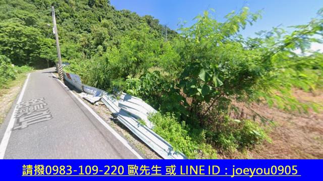 花蓮秀林法拍農地-11