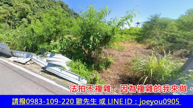 花蓮秀林法拍農地-2