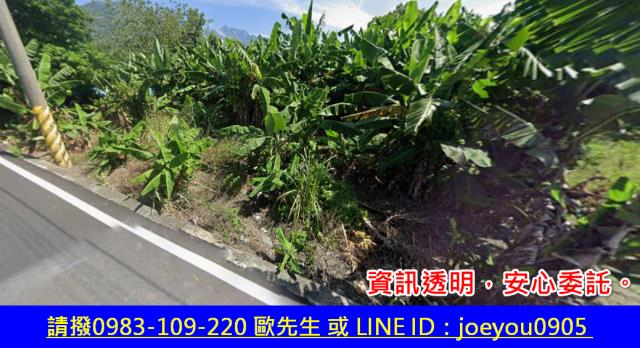 花蓮秀林拍賣農地-2