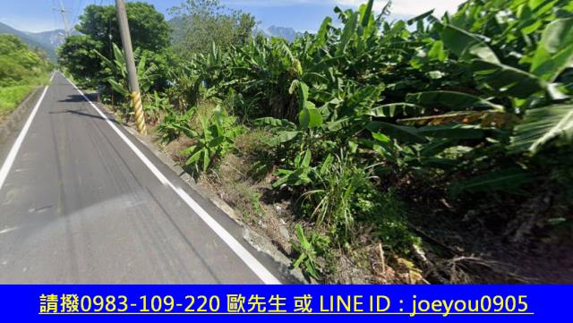 花蓮秀林拍賣農地-4