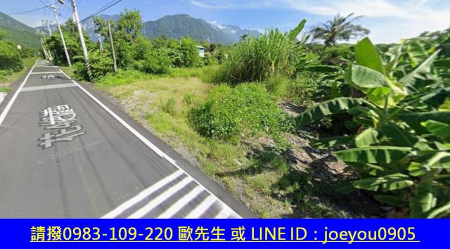 花蓮農地法拍-9