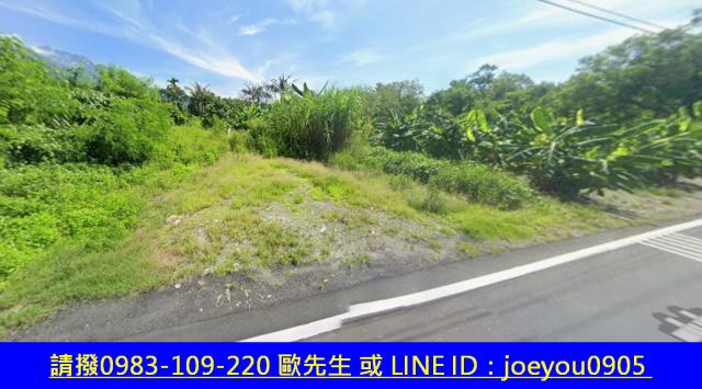 花蓮農地法拍-10