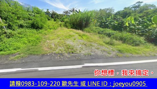 花蓮農地法拍-2