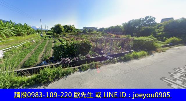 花蓮農地法拍-9