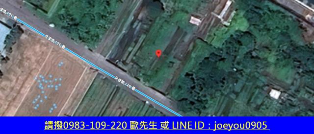 花蓮農地法拍-8