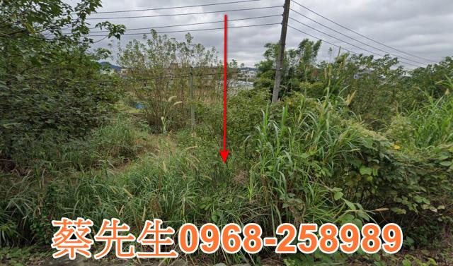 新竹芎林法拍農地-0