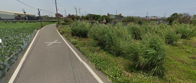 大安區法拍農地-12