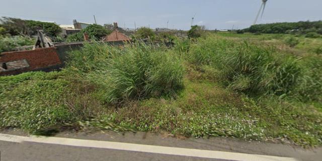 大安區法拍農地-0