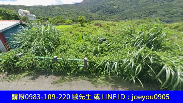 壽豐法拍農地-11