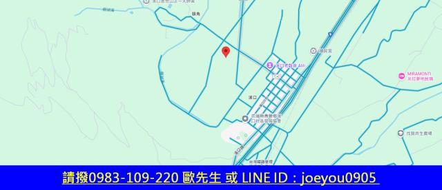 壽豐法拍農地-13