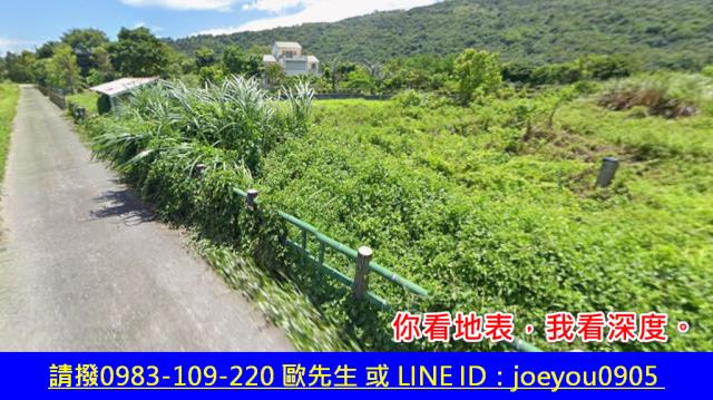 壽豐法拍農地-2