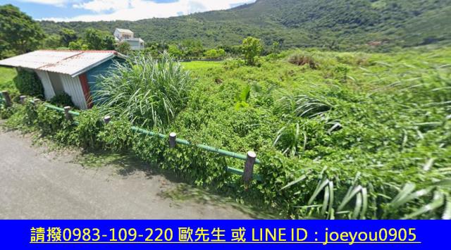 壽豐法拍農地-3