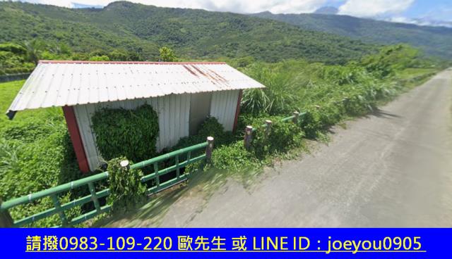 壽豐法拍農地-4