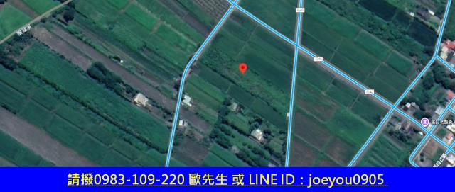 壽豐法拍農地-8