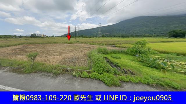 鳳林農地法拍-10