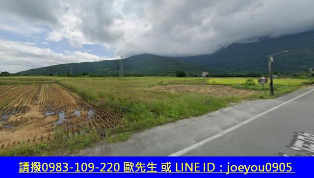 鳳林農地法拍-3