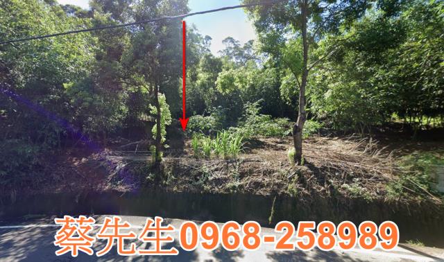 頭份法拍農地-0